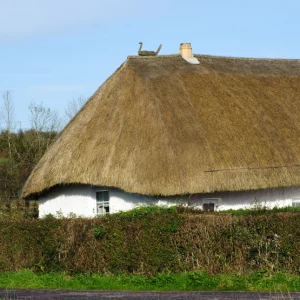 Thatched cottage in the countryside of ireland